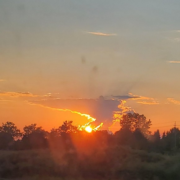 Meet your Posher, Lisa - Picture 1 of 1